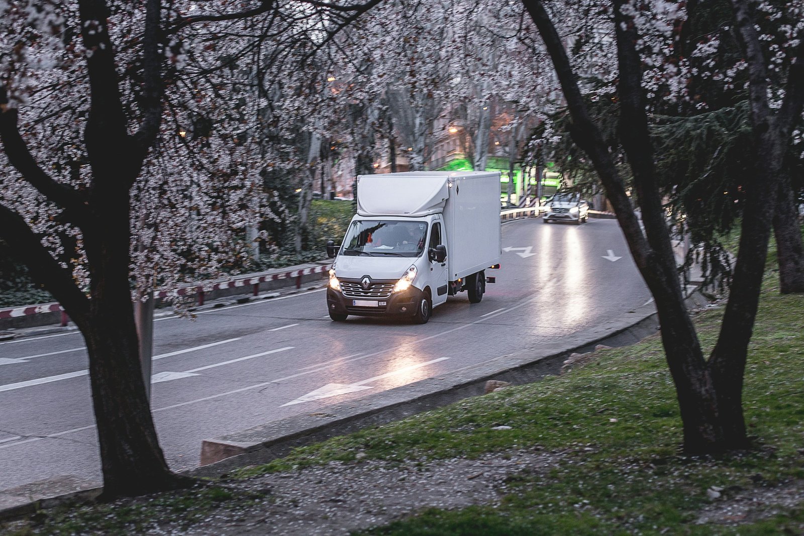 Frozen product delivery vehicle
