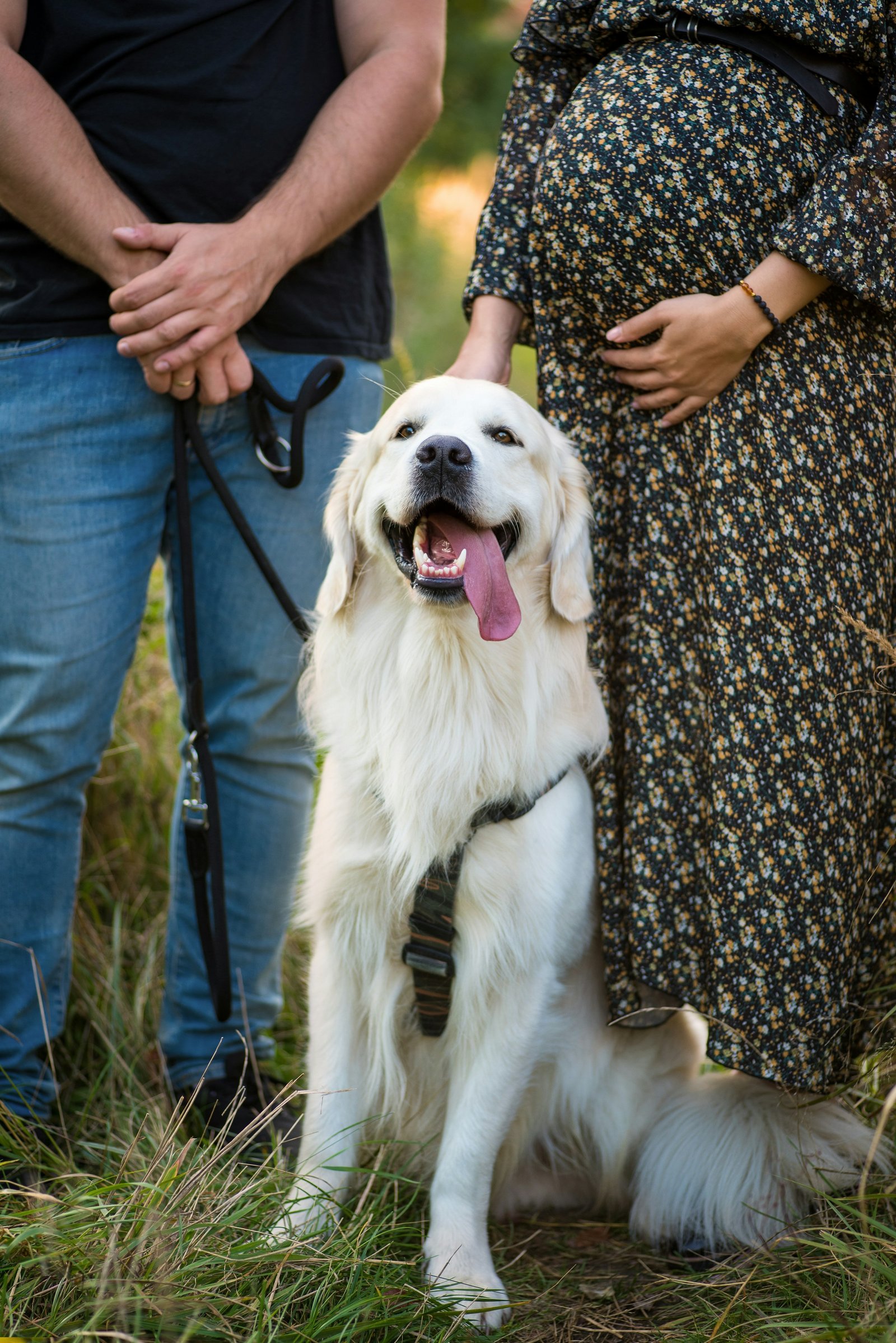 Golden Retriever with two adults representing active Kennesaw households and practical family ordering