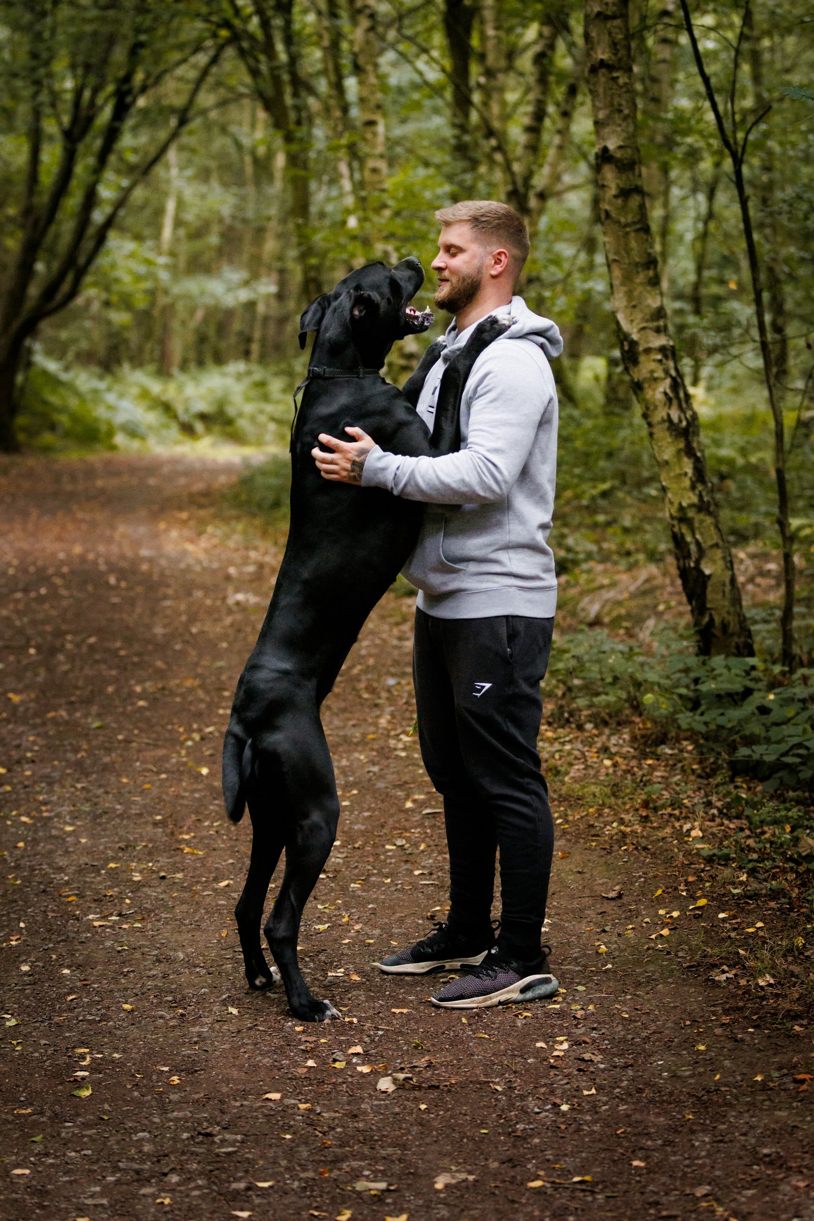 Dog on a wooded trail representing active dogs and large-breed households in Northwest Metro Atlanta