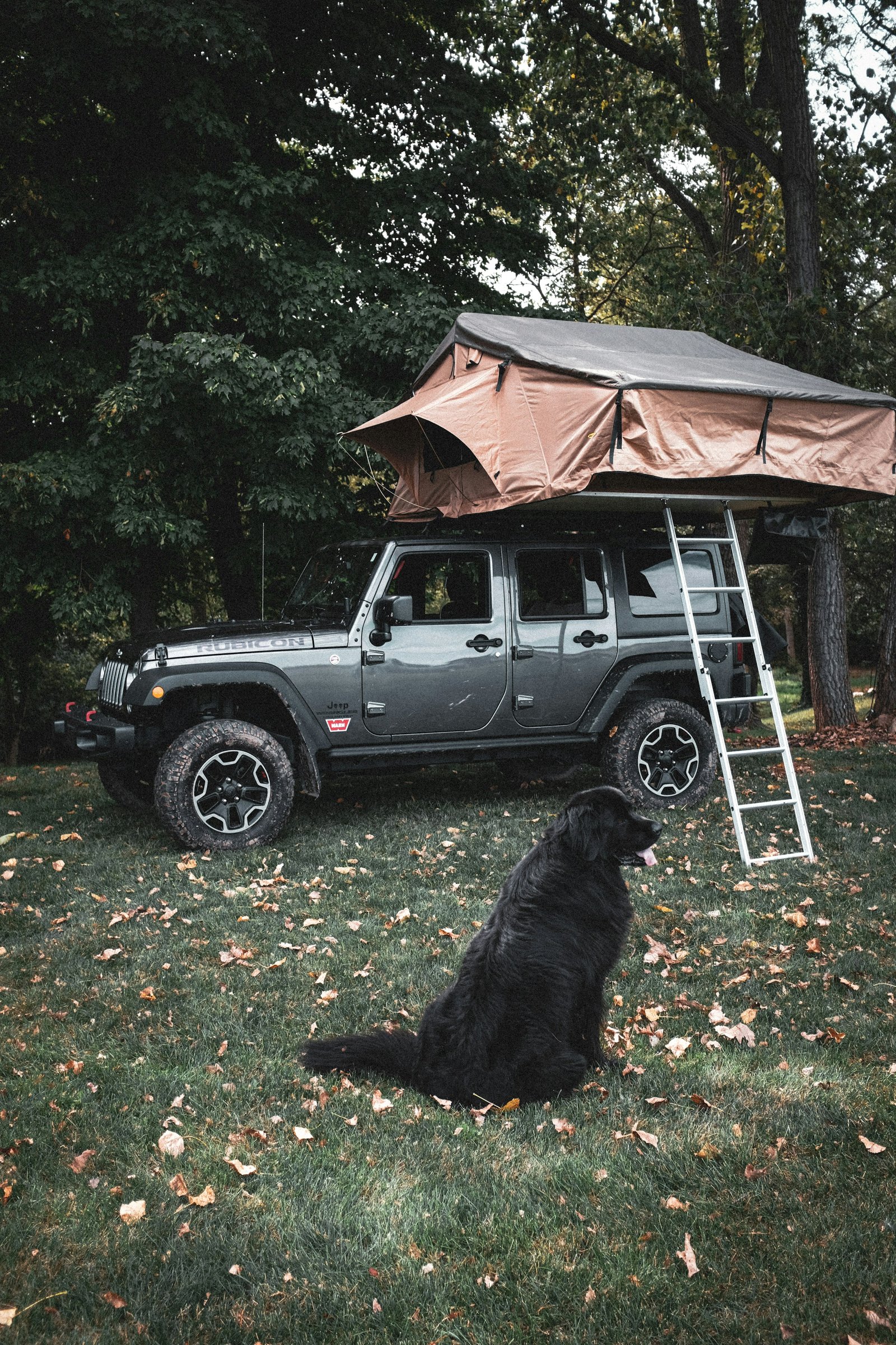 Black dog beside an off-road vehicle and rooftop tent representing outdoor recreation around Cartersville