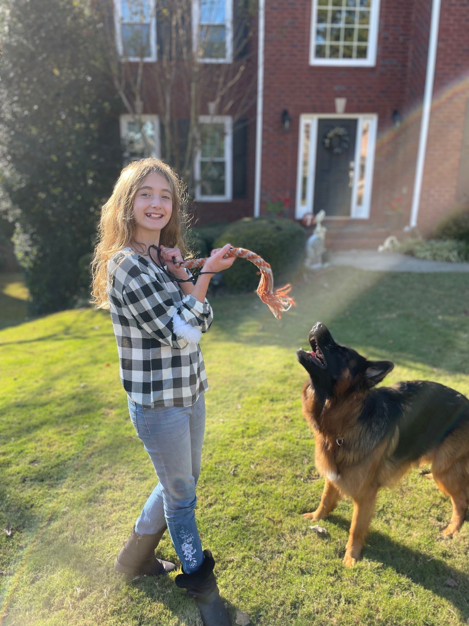 Large dog playing outdoors with a family member